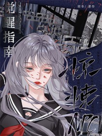 ����С˵:���NPC����ָ��