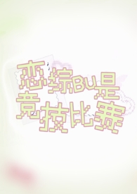 ����С˵:���۲��Ǿ�������