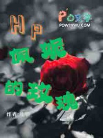 ����С˵:[HPͬ��] HP���ݵ�õ��