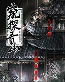 ����С˵:��̽��ɽ