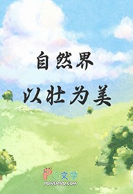 ����С˵:��Ȼ����׳Ϊ��