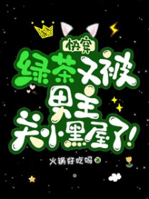 ����С˵:�촩���̲��ֱ�������С������