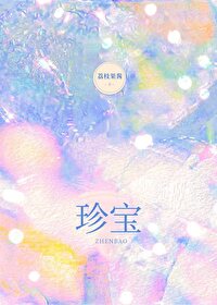 ����С˵:�䱦