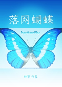 ����С˵:��������