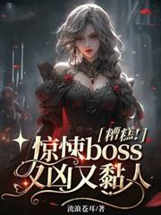 ����С˵:��⣡���boss���������