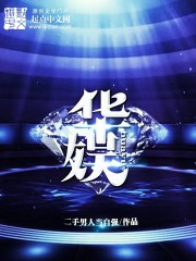 ����С˵:����