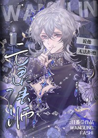 ����С˵:���鷨ʦ˵���޷��ܾ�