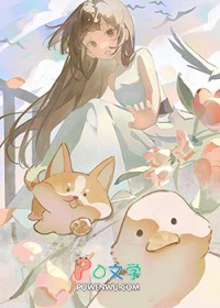 ����С˵:СѼ��