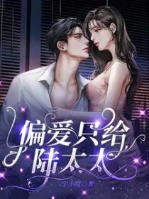 ����С˵:ƫ��ֻ��½̫̫