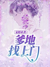 ����С˵:�����쾰˾��