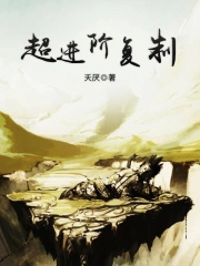 ����С˵:�����׸���