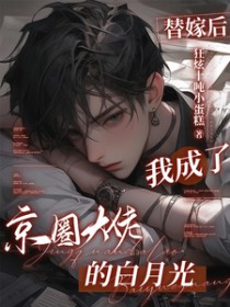 ����С˵:��޺��ҳ��˾�Ȧ���еİ��¹�