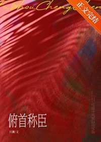 ����С˵:���׳Ƴ�