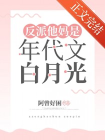 ����С˵:��������������İ��¹�