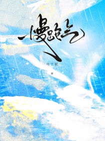 ����С˵:��������