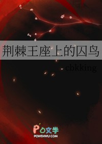 ����С˵:���������ϵ�����