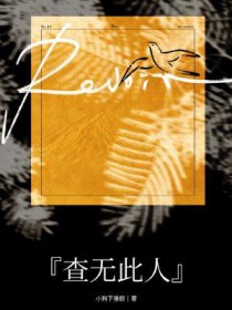 ����С˵:���޴���