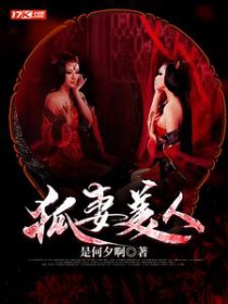 ����С˵:��������