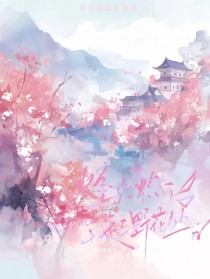 ����С˵:����