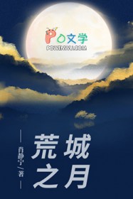 ����С˵:�ĳ�֮��