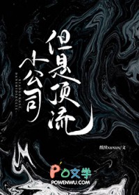 ����С˵:С��˾�����Ƕ���