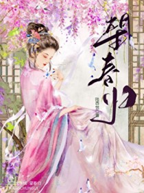 ����С˵:������