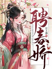 ����С˵:���