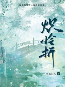 ����С˵:������