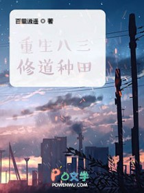 ����С˵:���������޵�����