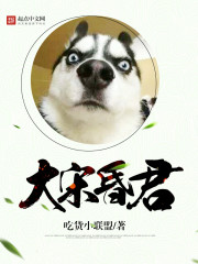 历史小说:大宋昏君 历史小说:大宋昏君