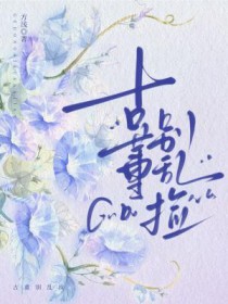 �ֲ�С˵:�Ŷ����Ҽ�