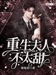 ����С˵:�������˲�̫��