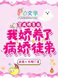 ����С˵:����ʦ����ҽ����˲���ͽ��