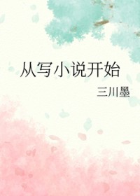 ����С˵:��дС˵��ʼ