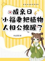 ����С˵:��̯�����ݣ�������ȫ����