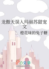 ����С˵:���������������������