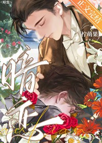 ����С˵:����