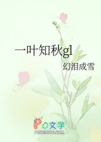 ����С˵:һҶ֪��gl