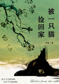 ����С˵:��è֮��