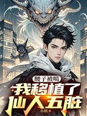 ����С˵:���ӱ���������ֲ����������