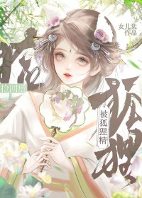 ����С˵:�����꾫���֮��