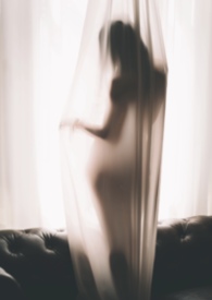 ����С˵:�ѻ����NPH�����죩