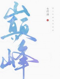 ����С˵:�۷�