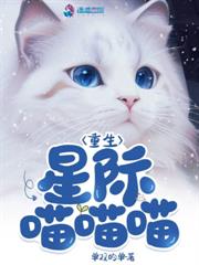 ����С˵:�����򵼣������������ڱ�������