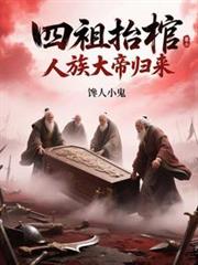 ����С˵:����̧�ף������۹���