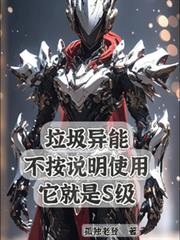 ����С˵:�������ܲ���˵��ʹ��������s��