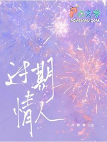 ����С˵:��������