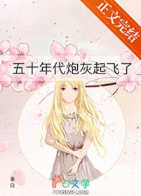 ����С˵:��ʮ����ڻ������