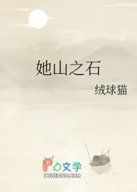 ����С˵:��ɽ֮ʯ