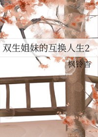 ����С˵:˫�����õĻ�������2